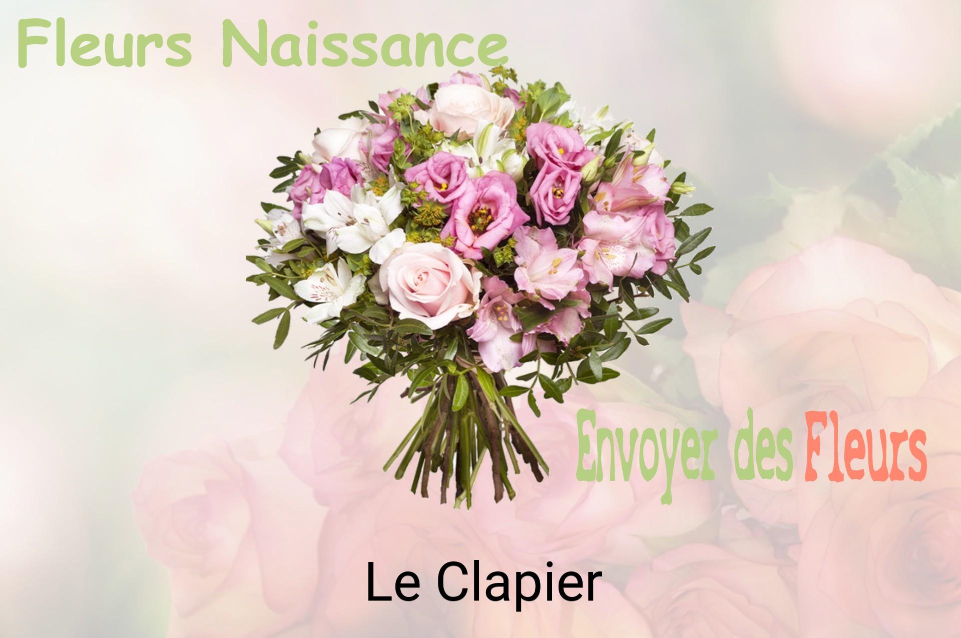 Bouquet de fleurs de naissance livré à Le Clapier